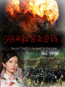 国产xxxx孕妇